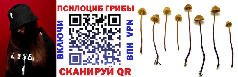 Галлюциногенные грибы GOLDEN TEACHER Яблоновский